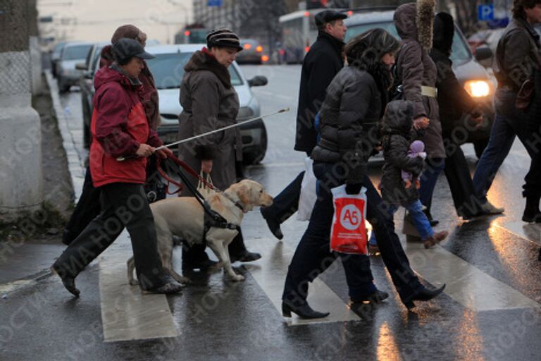 Тренировка собак-поводырей в Москве