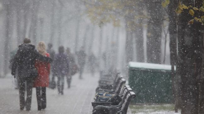 Снег прошел, синоптикам досталось