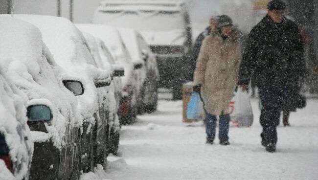 Прошедший в Москве снегопад стал одним из самых мощных за шесть лет