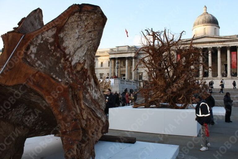 Лес-призрак на Трафальгарской площади напомнит об опасности сведения лесов в Африке 