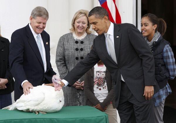 Обама помиловал индейку на торжественной церемонии в Белом доме