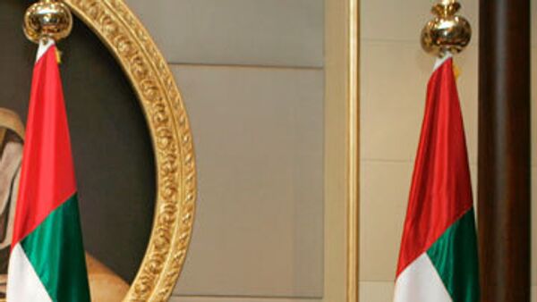 ОАЭ не вступят в Валютный союз арабских стран залива - министр