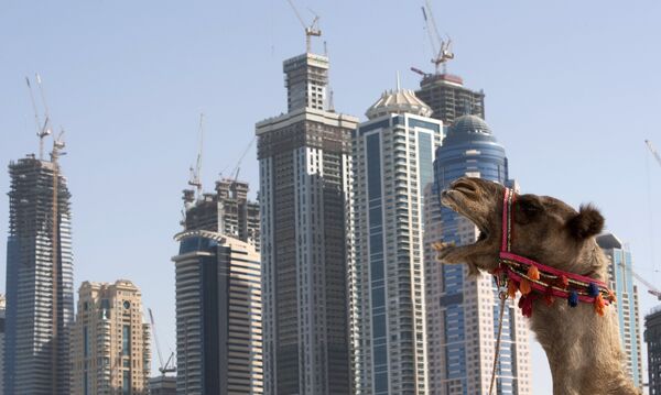 Dubai World реструктуризирует подразделения с общим долгом $26 млрд