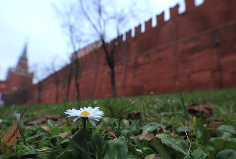 Аномальное тепло в Москве в преддверии зимы