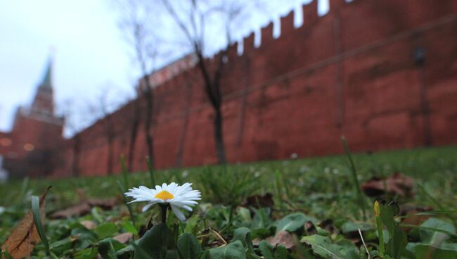 Аномальное тепло в Москве в преддверии зимы