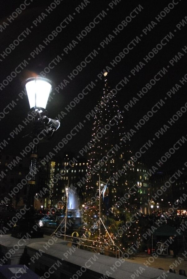 Главная рождественская елка Великобритании, установленная на Трафальгарской площади Лондона