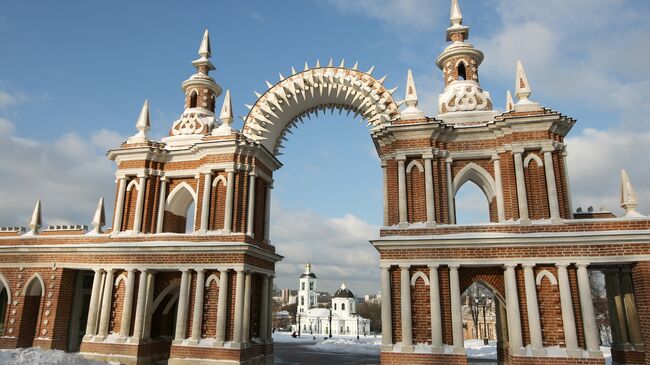 Царицыно зимой. Архив