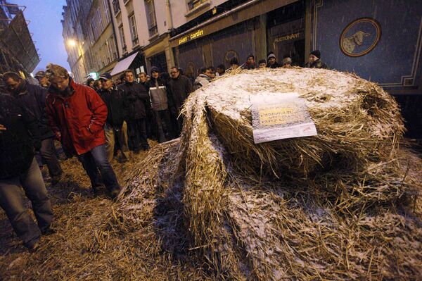 Французские фермеры разбросали 10 тонн сена вокруг Елисейского дворца, выступая против сокращения доходов