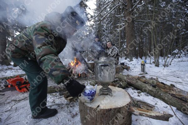 Проводы главной новогодней ели России на территории лесничества в Московской области