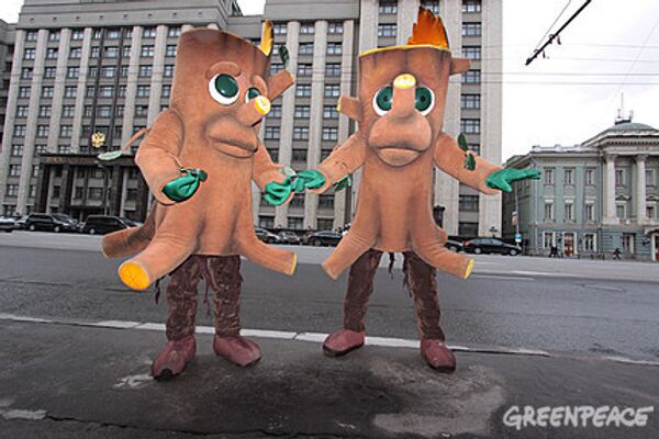 Активисты экологической организации Гринпис 22 декабря установили два еловых пня у Дома правительства РФ в ходе акции в поддержку сохранения российских лесов.