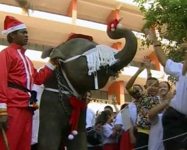 Санта-Клаус с хоботом: тайские слоны дарят школьникам подарки
