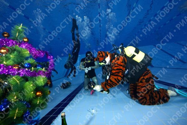 Члены клуба Western Bridge встретили Новый год под водой