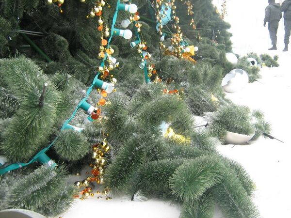 Во Владивостоке ветер свалил новогоднюю елку за 5 миллионов рублей