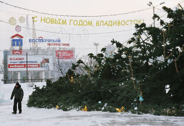 Новогодняя елка, упавшая в результате штормового ветра во Владивостоке