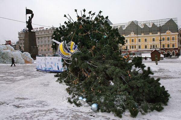 Новогодняя елка, упавшая в результате штормового ветра во Владивостоке