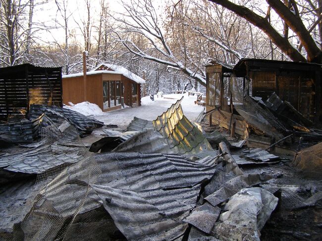 Вольерный комплекс в природном заказнике «Воробьевы горы»