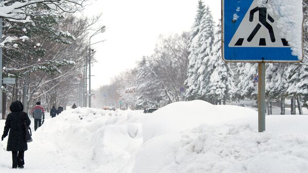Последствия снежного циклона в Южно-Сахалинске. Архивное фото