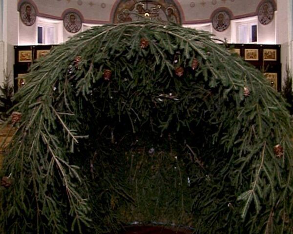 Живой рождественский вертеп появился у Коложской церкви в Гродно