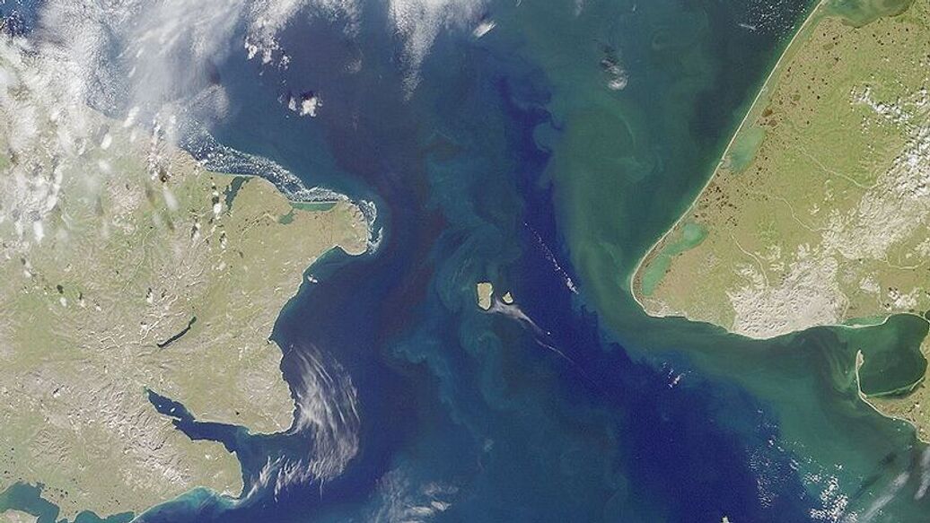 "Окупится быстро". Возможно ли строительство тоннеля между Россией и США