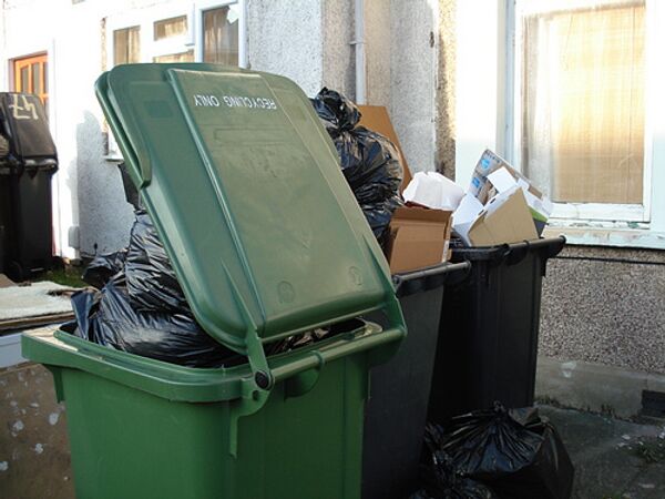 Закрыта фирма в Подмосковье, получившая 34 млн руб за незаконный вывоз мусора