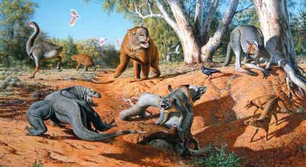Люди стали причиной вымирания гигантских сумчатых в Австралии