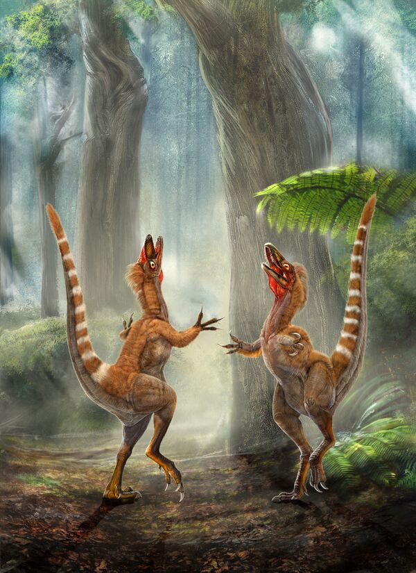 Ученые впервые сумели определить окрас оперения динозавров