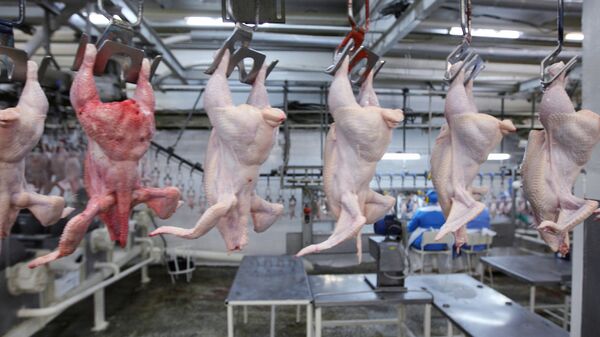 США ввезли в РФ более 10 тыс тонн мяса птицы по бесхлорным правилам