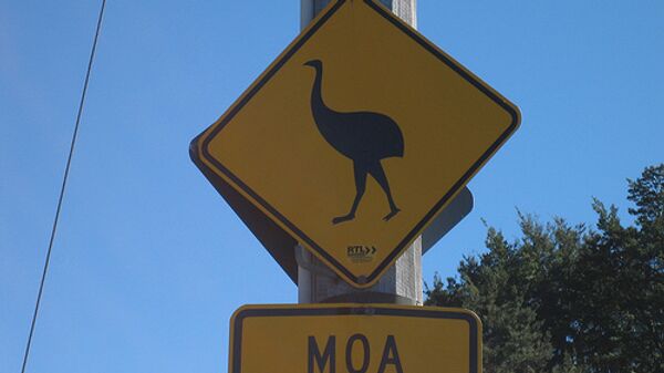 Дорожный знак в Новой Зеландии - птица Моа