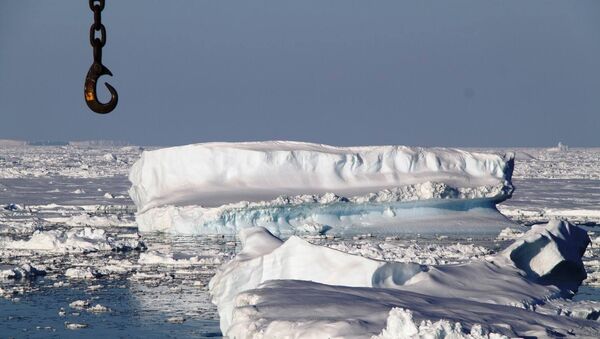 Антарктика, архивное фото