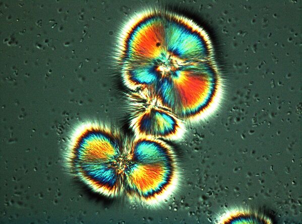 Микроб против камня – борьба не на жизнь, а на смерть в пустыне. Снимок микробов, научившихся противодействовать образованию соляных кристаллов.