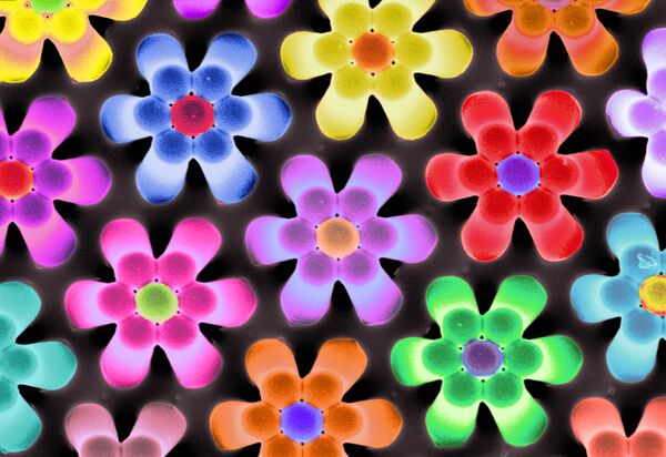 «Власть цветов» - эта «клумба» состоит из полимерных «колон» высотой 10 микрон, сомкнувшихся друг с другом.