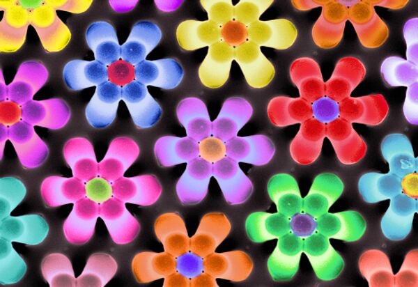 «Власть цветов» - эта «клумба» состоит из полимерных «колон» высотой 10 микрон, сомкнувшихся друг с другом.