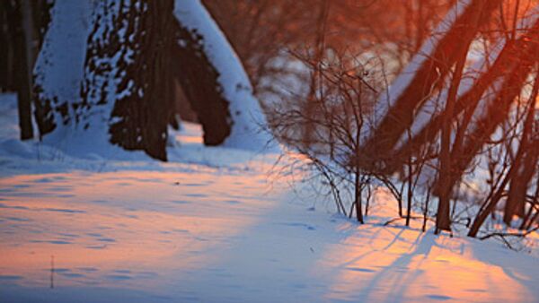 Розовый снег выпал на Ставрополье и в Краснодарском крае