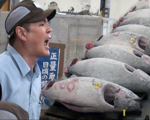 Торговля тунцом на рыбном рынке в Токио - особый ритуал