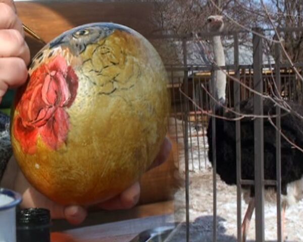 Нижегородцы к Пасхе расписали страусиные яйца