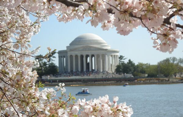 Цветение вишни на фоне мемориала Томаса Джефферсона