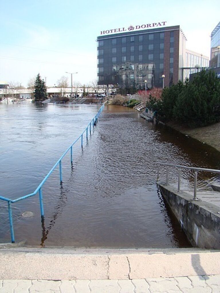 Половодье в Тарту