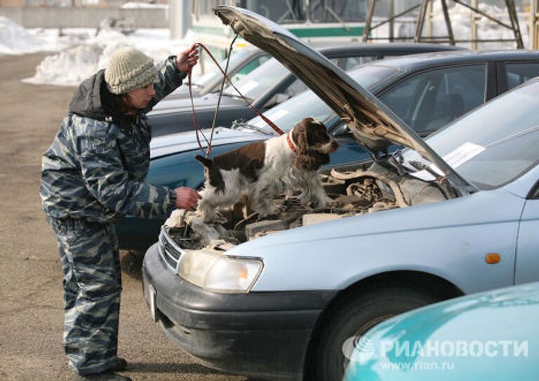 Чемпионат по многоборью среди кинологов в Новосибирске