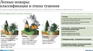 Лесные пожары: причины возникновения и методы предотвращения