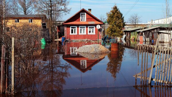 Подтопление домов в Ленинградской области в результате весеннего паводка на реке Тосна