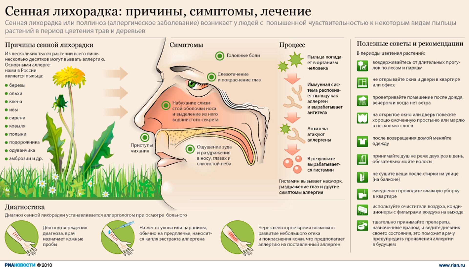 Что такое поллиноз у взрослых фото симптомы и лечение