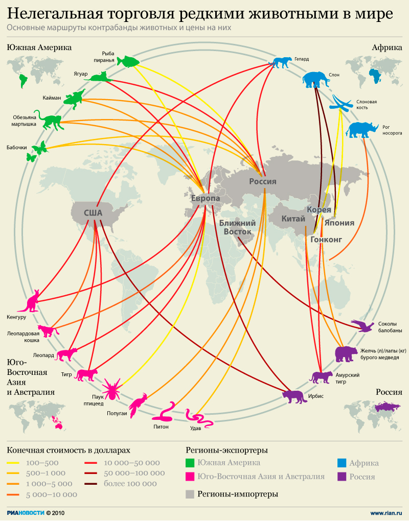 Нелегальная торговля редкими животными в мире