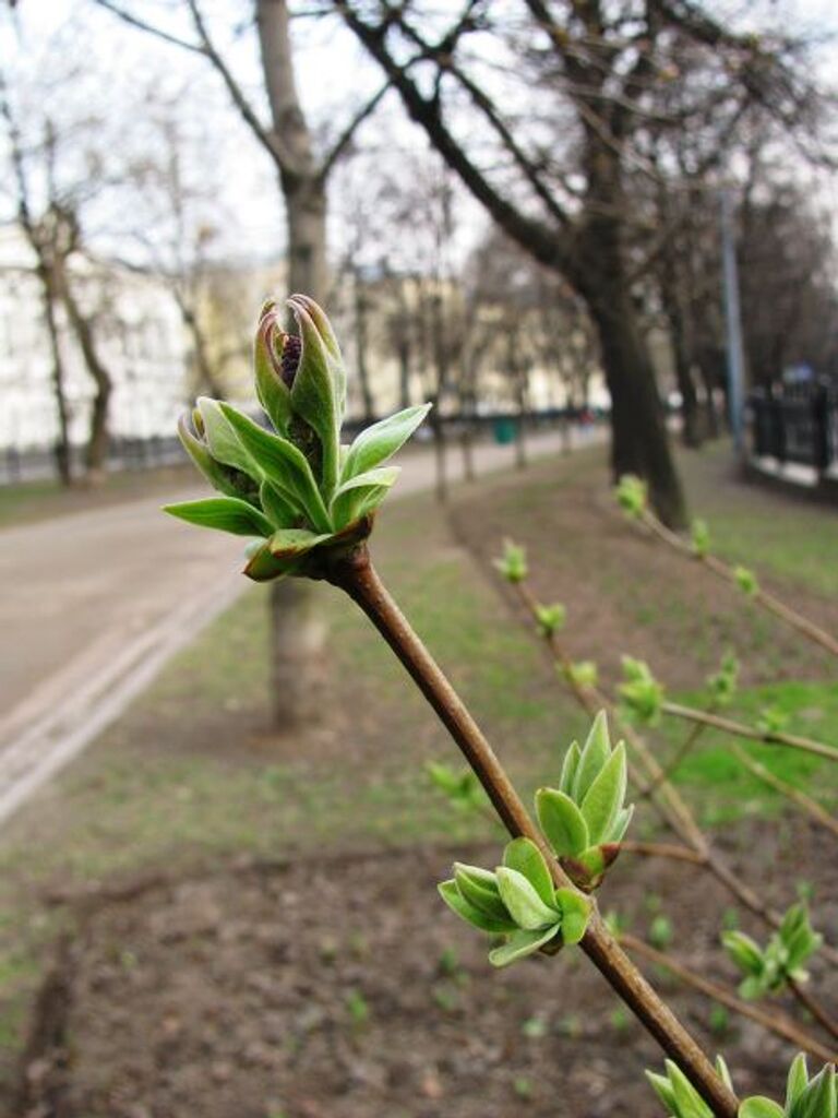 Москва