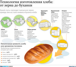 Технология изготовления хлеба: от зерна до буханки