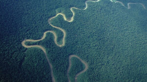 Река Мамберамо в индонезийской части острова Новая Гвинея