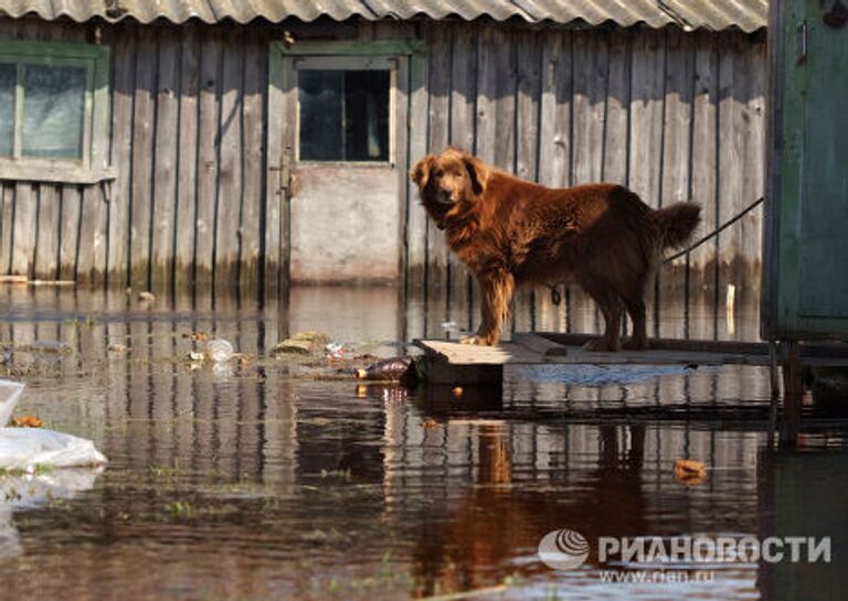 Подтопления в поселке Пролетарий Новгородской области.