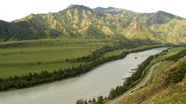 Долина реки Катунь. Архивное фото