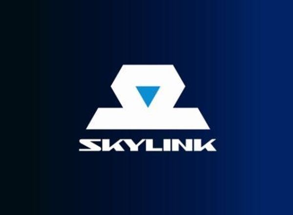 Логотип компании SkyLink