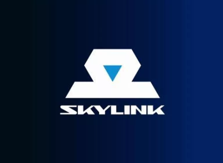 Логотип компании SkyLink Логотип компании SkyLink