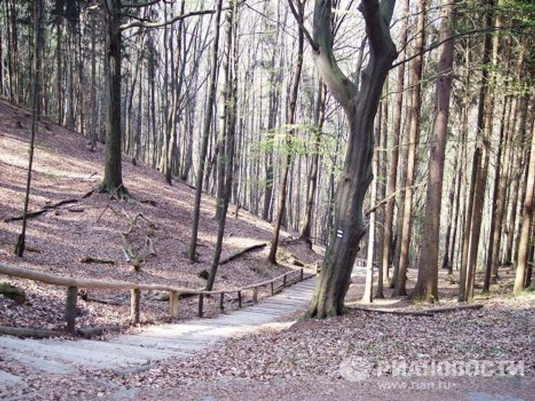 Фотопутешествие с РИА Новости: Саксонская Швейцария